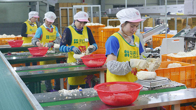 Văn bản quy phạm pháp luật mới về lĩnh vực xuất khẩu lao động